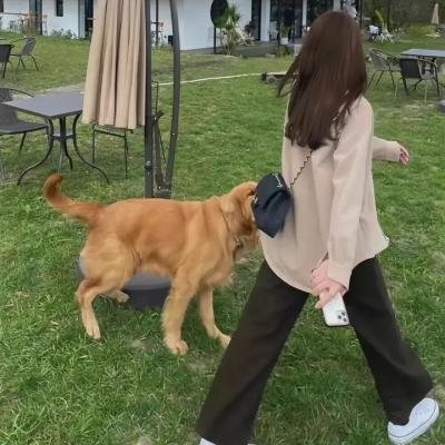 爱的面包